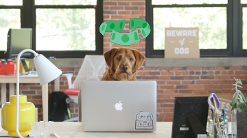 lenny dog at a computer with money above him